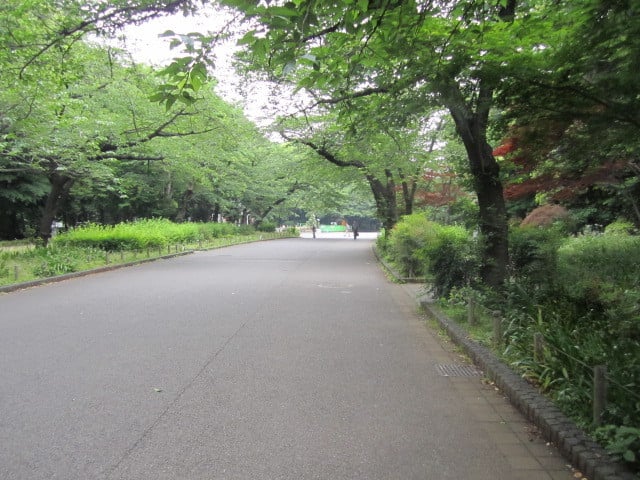 上野公園交番から博物館方面へ