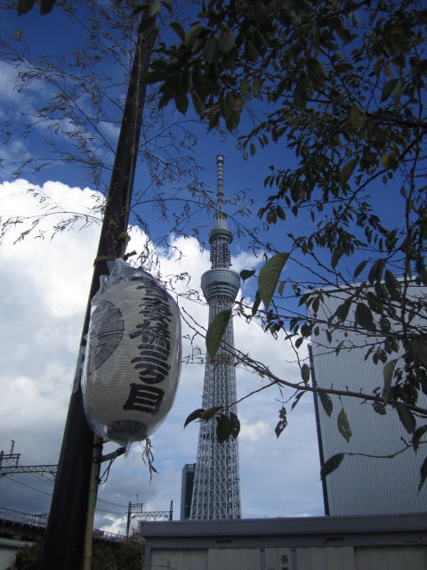 こんな風景がみられます