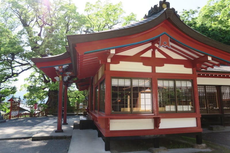 蒲生八幡神社の社殿と大楠