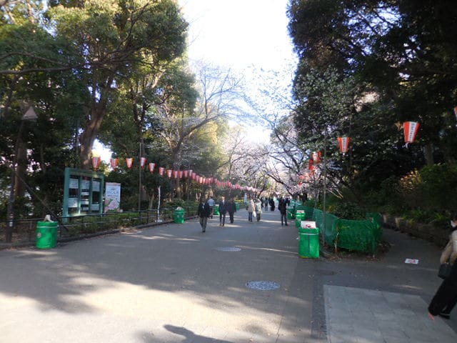 平成28年3月31日朝上野公園の桜