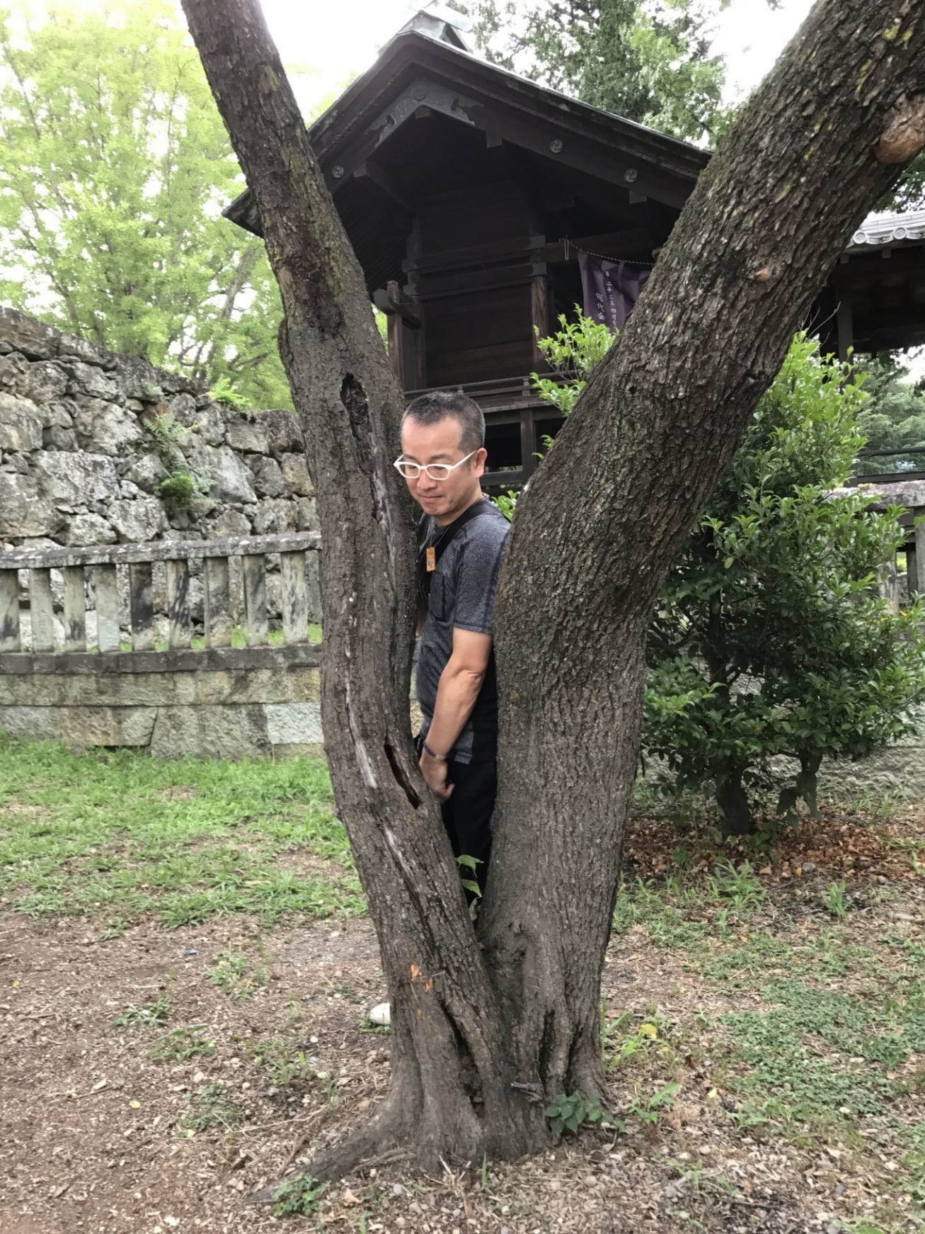 真田神社の御神体を背に木に佇む芳雲