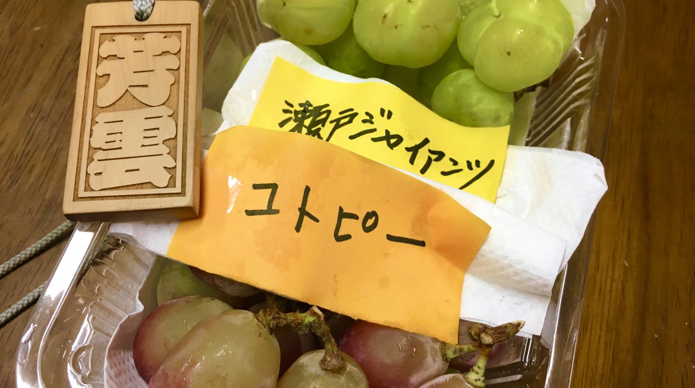 葡萄瀬戸ジャイアンツ・コトピーの食レポ